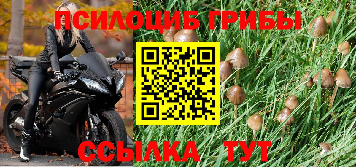 Галлюциногенные грибы Magic Shrooms Кимры